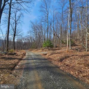 Photo #7 of 2245 RED BIRD DR, STANARDSVILLE, VA 31.9 acres