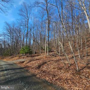 Photo #8 of 2245 RED BIRD DR, STANARDSVILLE, VA 31.9 acres