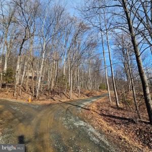 Photo #9 of 2245 RED BIRD DR, STANARDSVILLE, VA 31.9 acres