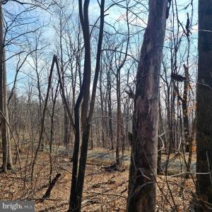 Photo #11 of 2245 RED BIRD DR, STANARDSVILLE, VA 31.9 acres