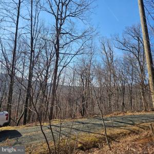 Photo #12 of 2245 RED BIRD DR, STANARDSVILLE, VA 31.9 acres