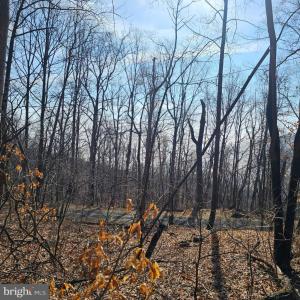 Photo #13 of 2245 RED BIRD DR, STANARDSVILLE, VA 31.9 acres