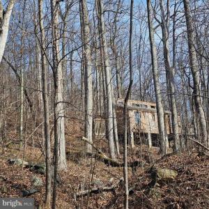 Photo #19 of 2245 RED BIRD DR, STANARDSVILLE, VA 31.9 acres