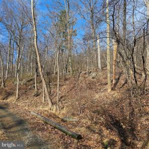 Photo #14 of 2245 RED BIRD DR, STANARDSVILLE, VA 31.9 acres