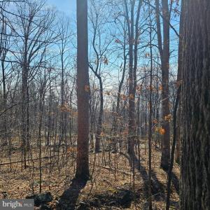 Photo #15 of 2245 RED BIRD DR, STANARDSVILLE, VA 31.9 acres
