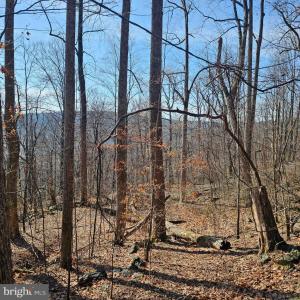 Photo #16 of 2245 RED BIRD DR, STANARDSVILLE, VA 31.9 acres