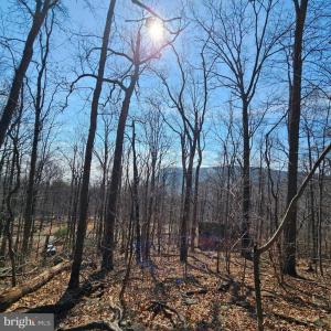 Photo #18 of 2245 RED BIRD DR, STANARDSVILLE, VA 31.9 acres