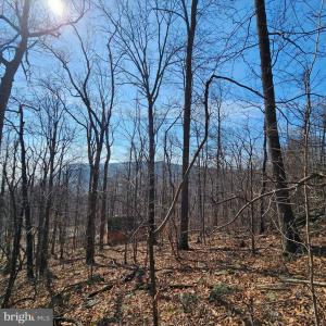 Photo #3 of 2245 RED BIRD DR, STANARDSVILLE, VA 31.9 acres