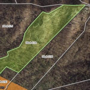 Photo #2 of 31 ORCHARD RD, LOVINGSTON, VA 35.2 acres