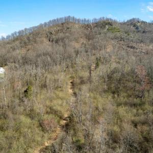 Photo #7 of 31 ORCHARD RD, LOVINGSTON, VA 35.2 acres