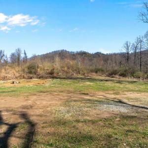 Photo #11 of 31 ORCHARD RD, LOVINGSTON, VA 35.2 acres
