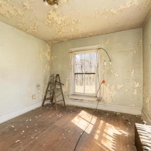 Photo #21 of 31 ORCHARD RD, LOVINGSTON, VA 35.2 acres