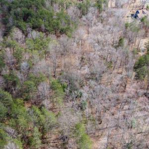 Photo #7 of NEW BRIDGE RD/208, MINERAL, VA 1.5 acres