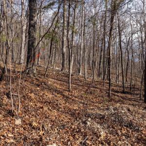 Photo #15 of NATIONAL FOREST ACCESS RD, LURAY, VA 1.3 acres