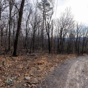 Photo #17 of NATIONAL FOREST ACCESS RD, LURAY, VA 1.3 acres