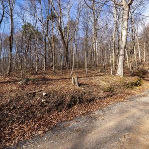 Photo #23 of NATIONAL FOREST ACCESS RD, LURAY, VA 1.3 acres