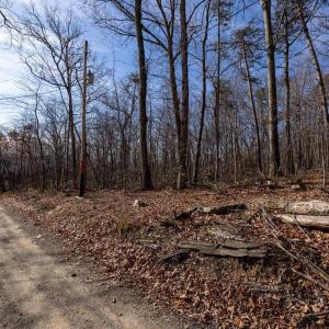 Photo #24 of NATIONAL FOREST ACCESS RD, LURAY, VA 1.3 acres