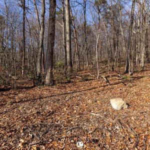 Photo #25 of NATIONAL FOREST ACCESS RD, LURAY, VA 1.3 acres