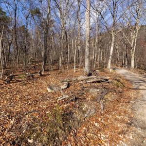 Photo #26 of NATIONAL FOREST ACCESS RD, LURAY, VA 1.3 acres