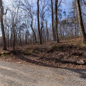 Photo #21 of NATIONAL FOREST ACCESS RD, LURAY, VA 1.3 acres