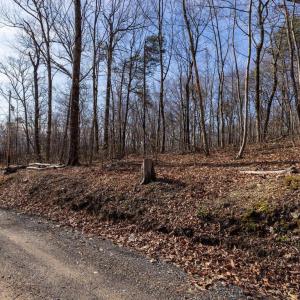 Photo #22 of NATIONAL FOREST ACCESS RD, LURAY, VA 1.3 acres