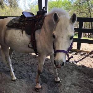 Photo #28 of 1915 LAKEVIEW PKWY, LOCUST GROVE, VA 0.4 acres