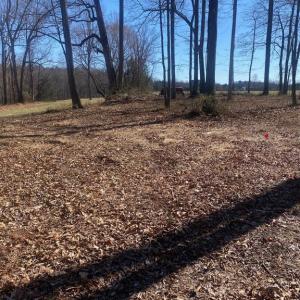 Photo #6 of SKY RIDGE TRL, CULPEPER, VA 10.1 acres