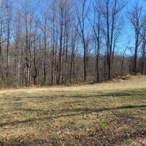 Photo #8 of SKY RIDGE TRL, CULPEPER, VA 10.1 acres