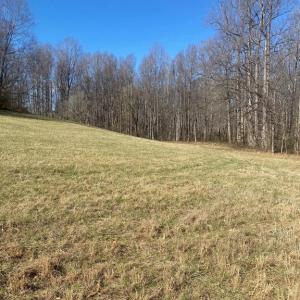 Photo #10 of SKY RIDGE TRL, CULPEPER, VA 10.1 acres
