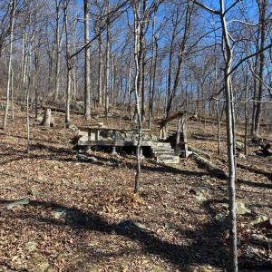 Photo #6 of CARTERS RUN, MARSHALL, VA 22.5 acres