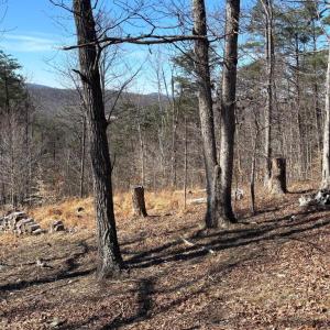 Photo #3 of CARTERS RUN, MARSHALL, VA 22.5 acres