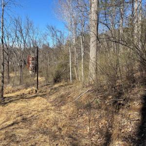 Photo #9 of CARTERS RUN, MARSHALL, VA 22.5 acres
