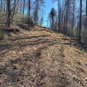 Photo #10 of CARTERS RUN, MARSHALL, VA 22.5 acres