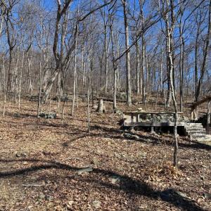 Photo #7 of CARTERS RUN, MARSHALL, VA 22.5 acres