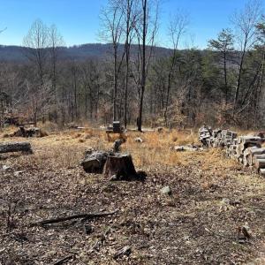 Photo #5 of CARTERS RUN, MARSHALL, VA 22.5 acres