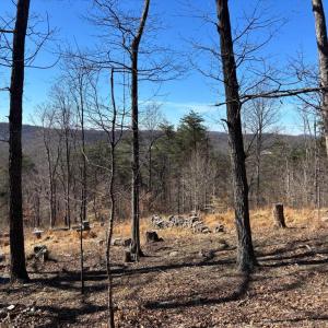 Photo #4 of CARTERS RUN, MARSHALL, VA 22.5 acres
