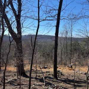 Photo #1 of CARTERS RUN, MARSHALL, VA 22.5 acres