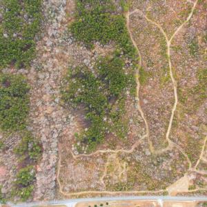 Photo #3 of 5239 DICKERSON RD, PARTLOW, VA 10.0 acres