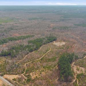 Photo #4 of 5239 DICKERSON RD, PARTLOW, VA 10.0 acres