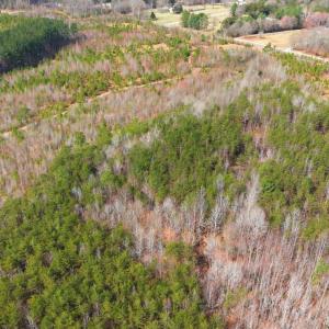 Photo #8 of 5239 DICKERSON RD, PARTLOW, VA 10.0 acres