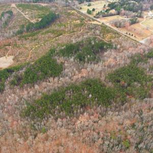 Photo #2 of 5239 DICKERSON RD, PARTLOW, VA 10.0 acres