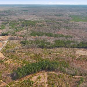 Photo #1 of 5239 DICKERSON RD, PARTLOW, VA 10.0 acres