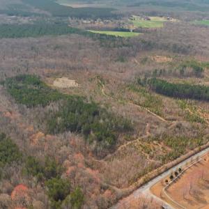 Photo #10 of 5239 DICKERSON RD, PARTLOW, VA 10.0 acres