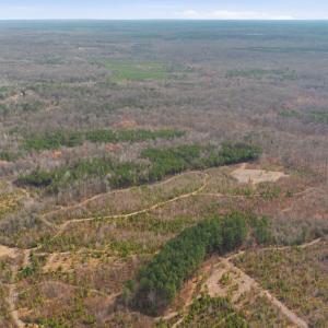 Photo #1 of 5190 DICKERSON RD, PARTLOW, VA 10.0 acres