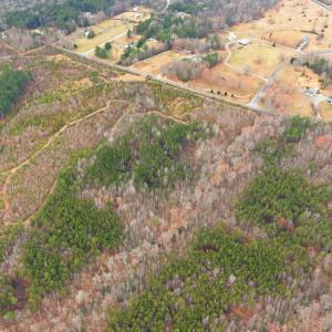 Photo #5 of 5190 DICKERSON RD, PARTLOW, VA 10.0 acres