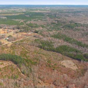 Photo #7 of 5190 DICKERSON RD, PARTLOW, VA 10.0 acres