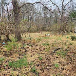 Photo #5 of 8228 FLIPPO DR, FREDERICKSBURG, VA 18.6 acres