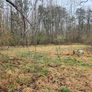 Photo #6 of 8228 FLIPPO DR, FREDERICKSBURG, VA 18.6 acres
