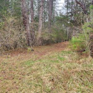 Photo #8 of 8228 FLIPPO DR, FREDERICKSBURG, VA 18.6 acres