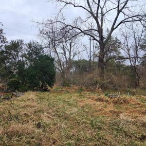 Photo #10 of 8228 FLIPPO DR, FREDERICKSBURG, VA 18.6 acres